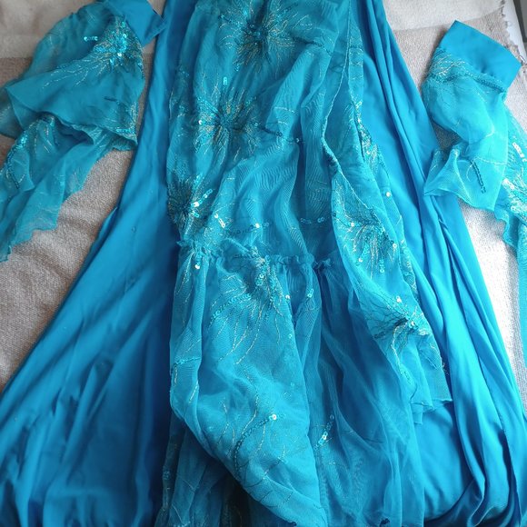 Elegant Professional Custom-Made Belly Dance Skirts and Pants Collection - Picture 8 of 9